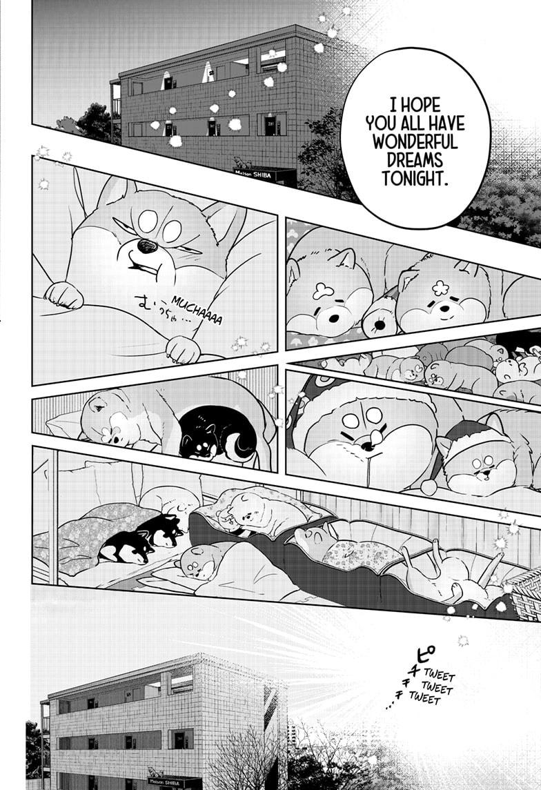 Shiba Inu Rooms Chapter 17 6