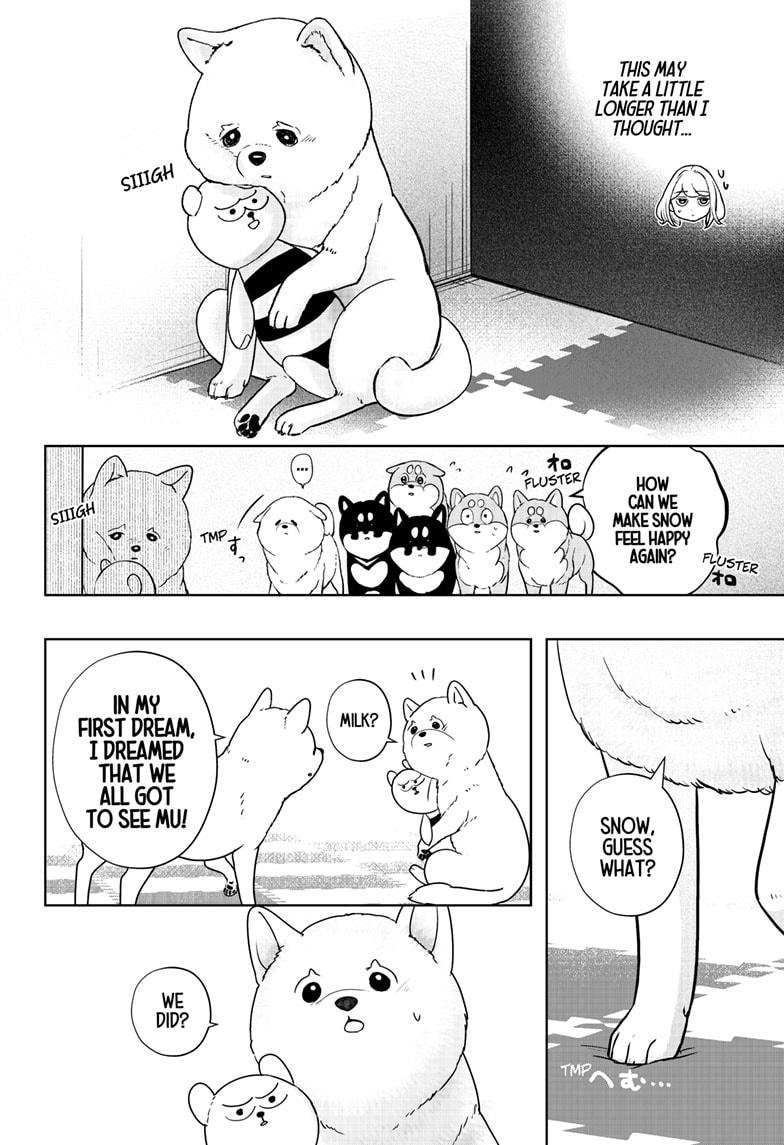Shiba Inu Rooms Chapter 17 12
