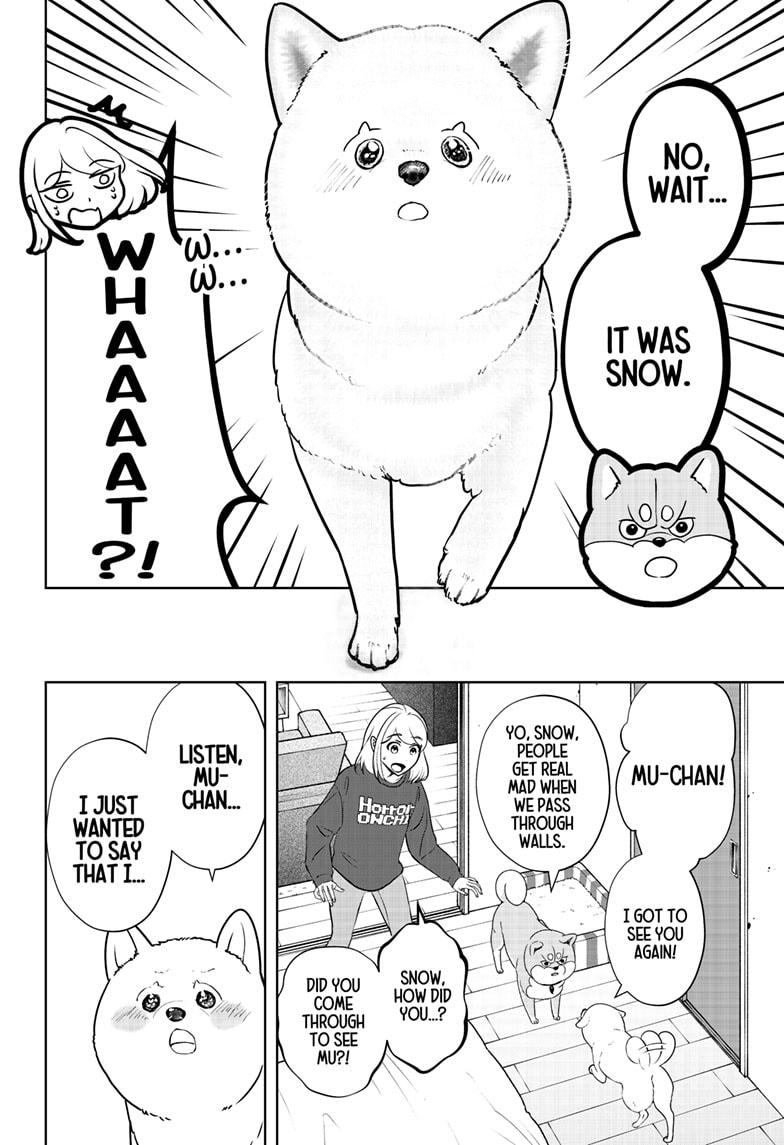 Shiba Inu Rooms Chapter 17 18