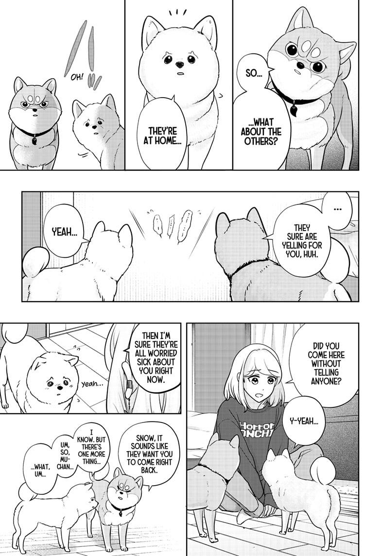 Shiba Inu Rooms Chapter 17 21