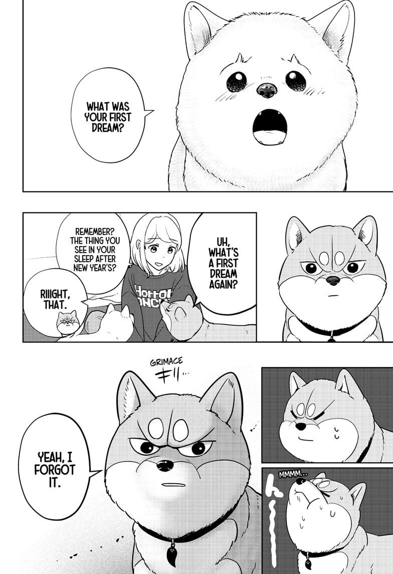 Shiba Inu Rooms Chapter 17 22