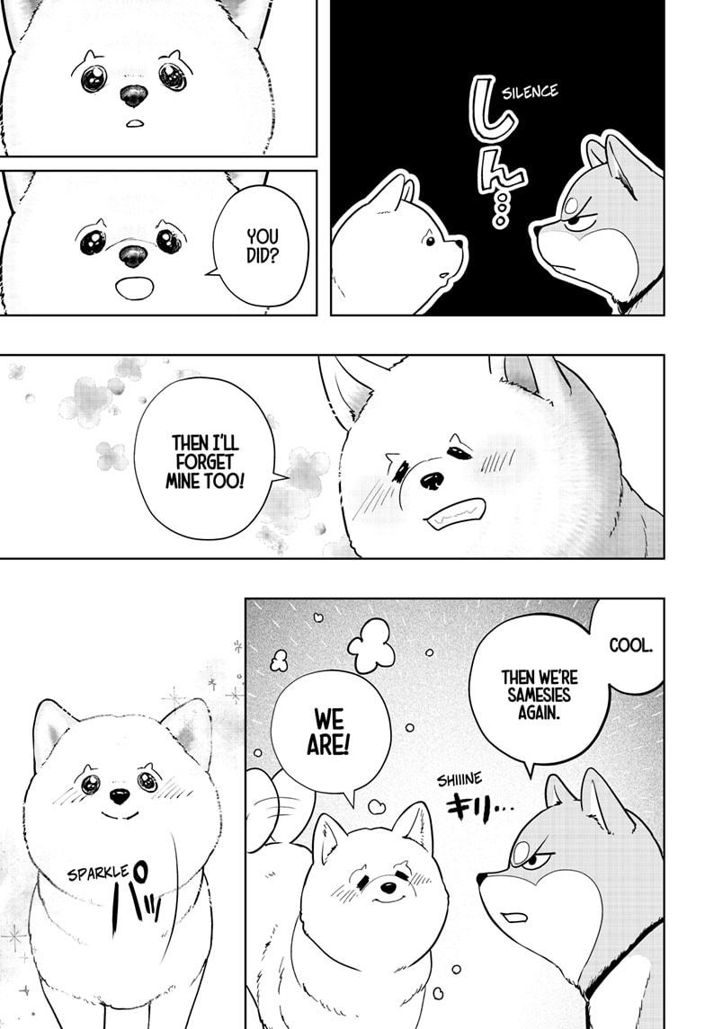 Shiba Inu Rooms Chapter 17 23
