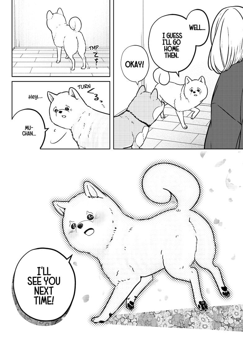 Shiba Inu Rooms Chapter 17 24