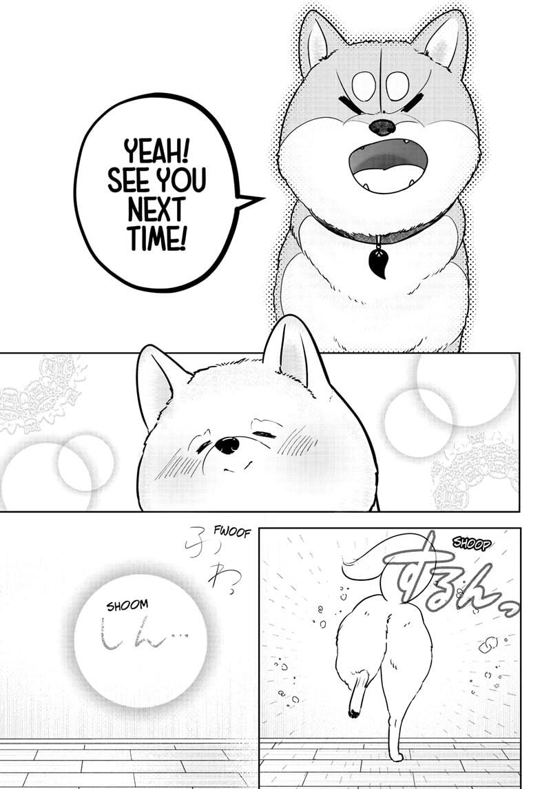 Shiba Inu Rooms Chapter 17 25