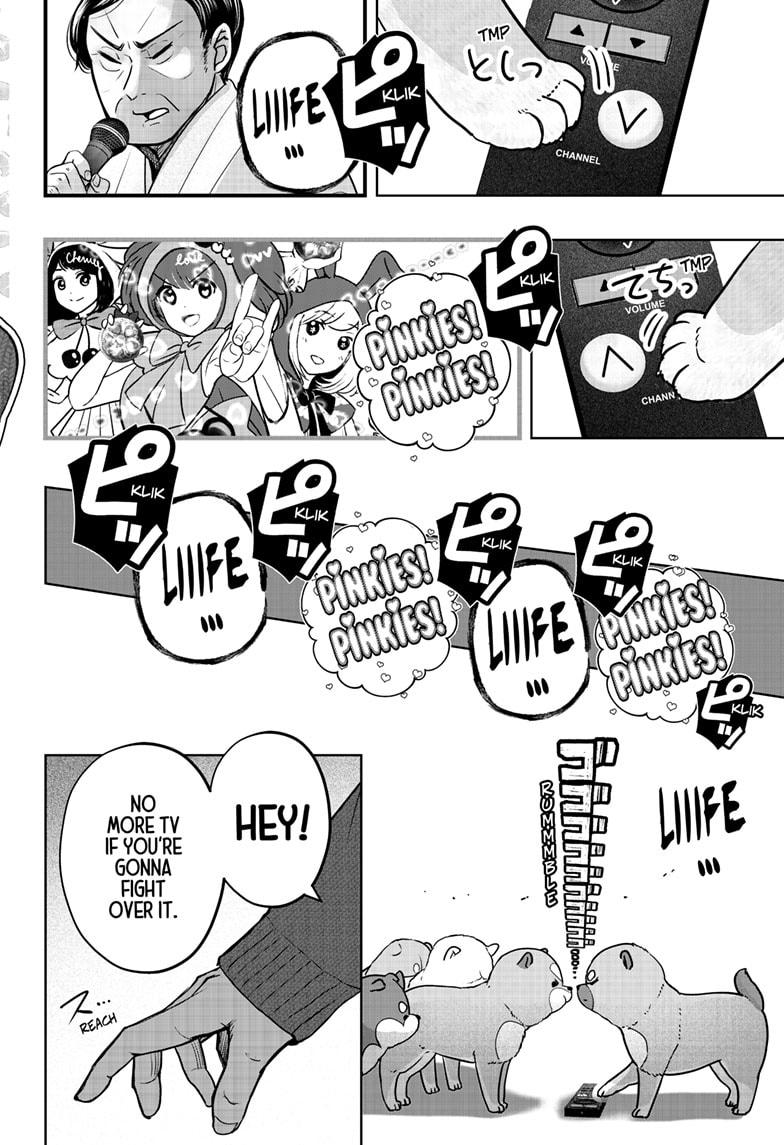 Shiba Inu Rooms Chapter 18 6