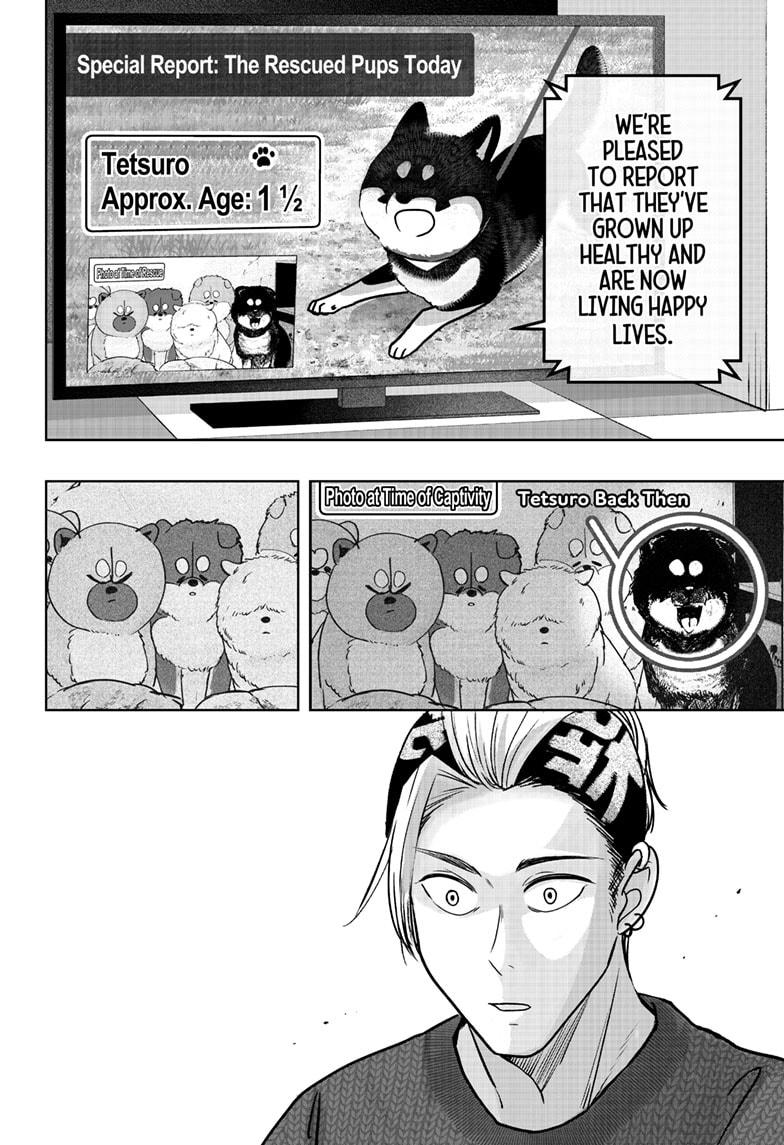 Shiba Inu Rooms Chapter 18 8