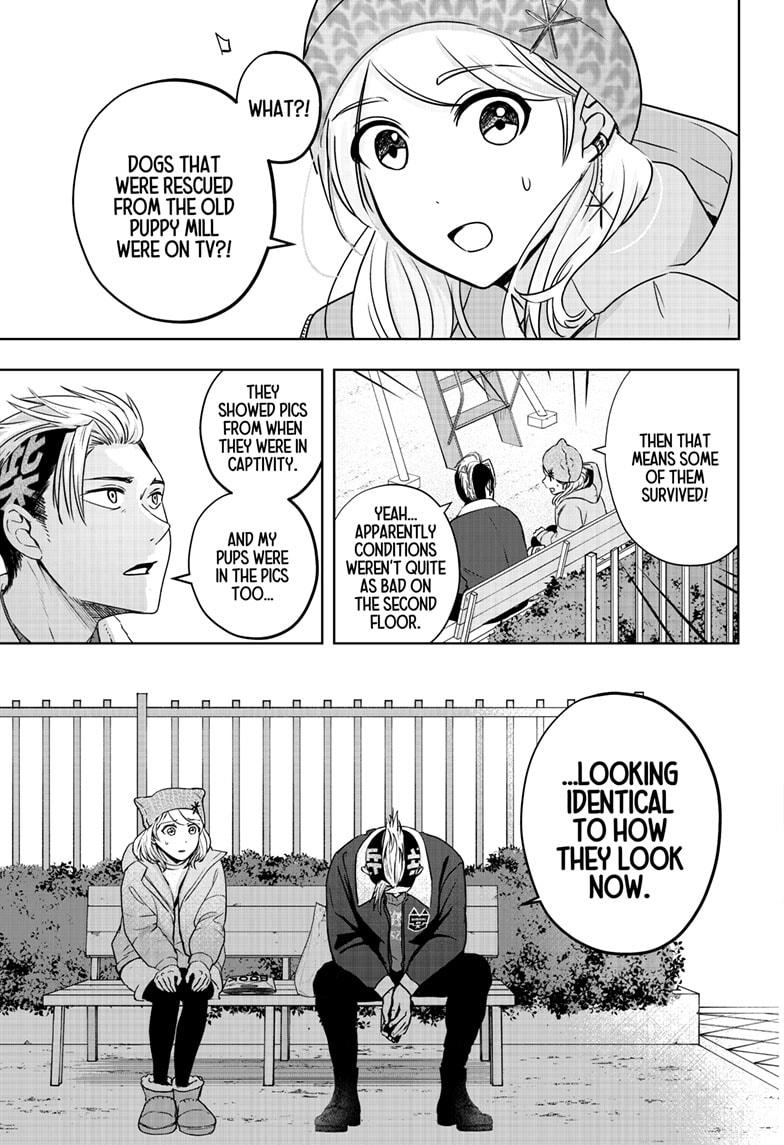 Shiba Inu Rooms Chapter 18 11