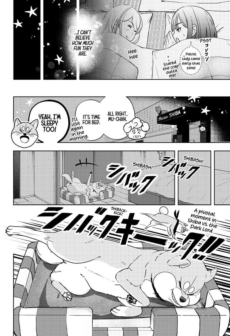 Shiba Inu Rooms Chapter 19 8