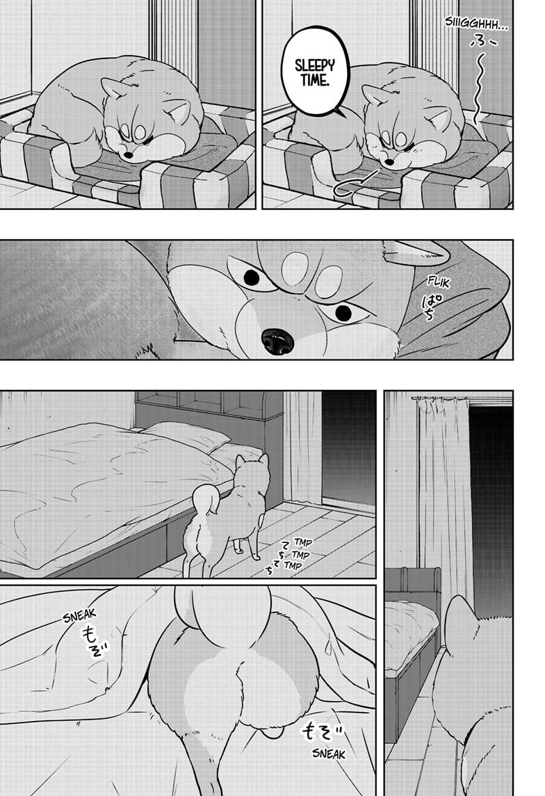 Shiba Inu Rooms Chapter 19 9
