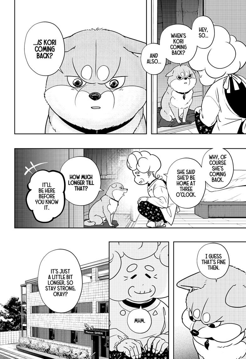 Shiba Inu Rooms Chapter 19 12