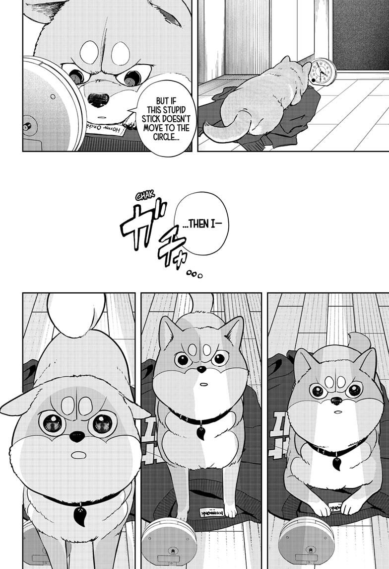 Shiba Inu Rooms Chapter 19 20