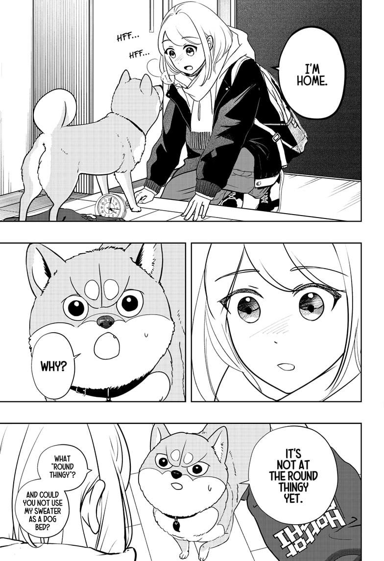 Shiba Inu Rooms Chapter 19 21