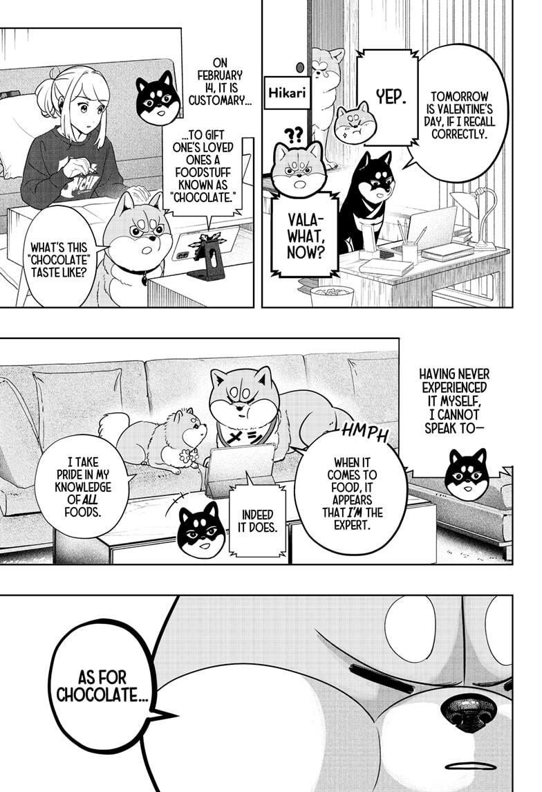 Shiba Inu Rooms Chapter 20 3