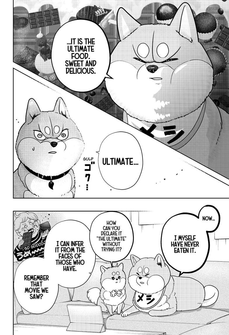 Shiba Inu Rooms Chapter 20 4