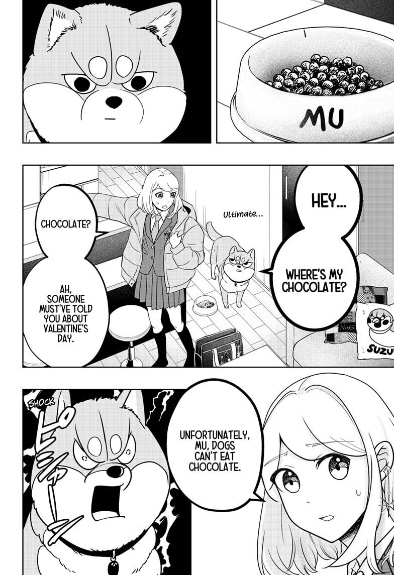 Shiba Inu Rooms Chapter 20 6