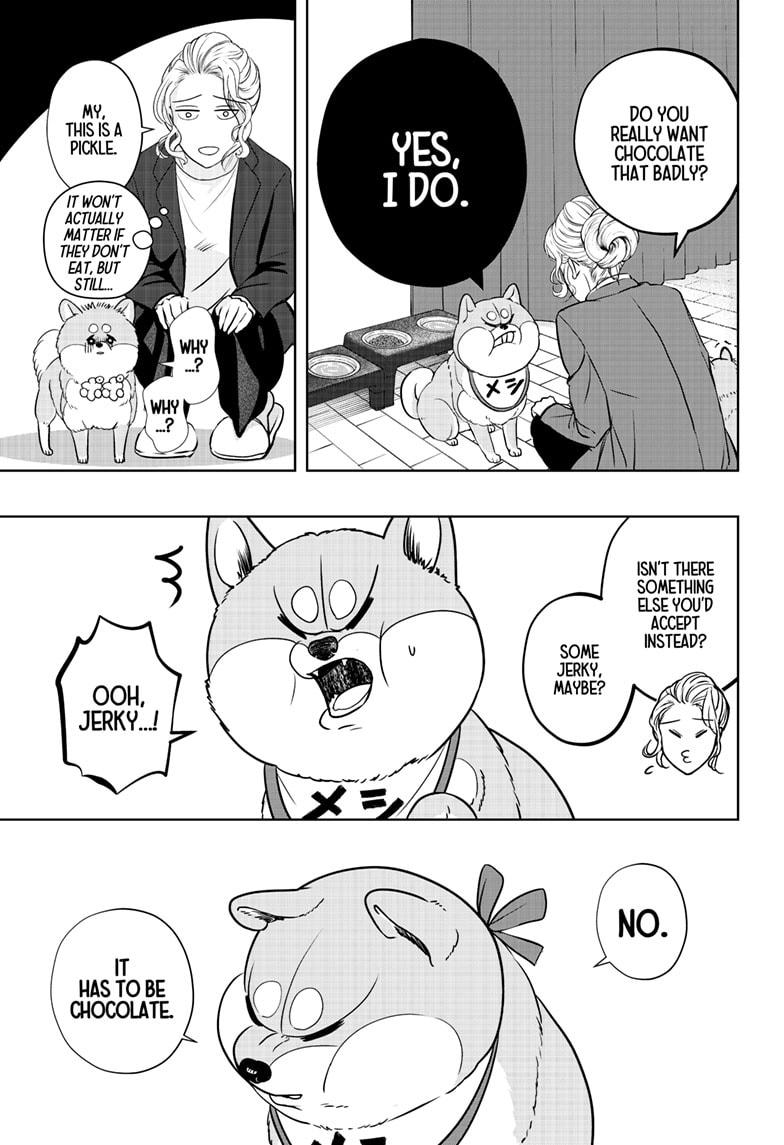 Shiba Inu Rooms Chapter 20 9