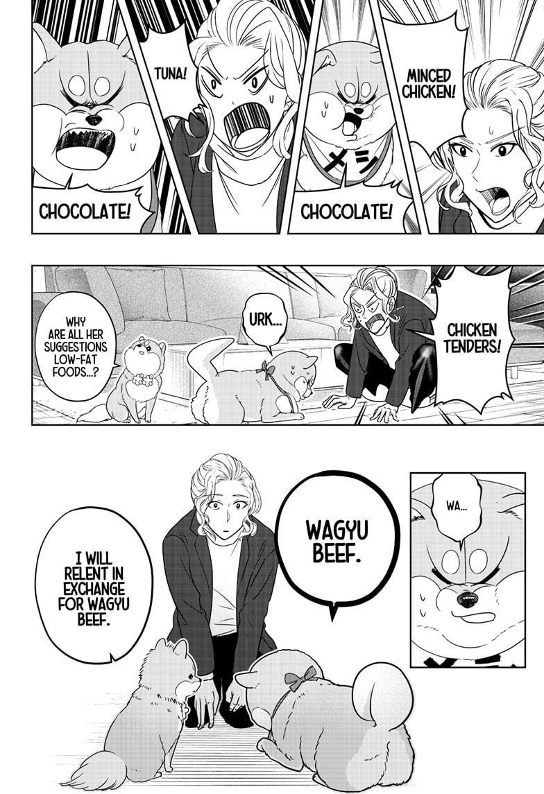 Shiba Inu Rooms Chapter 20 10