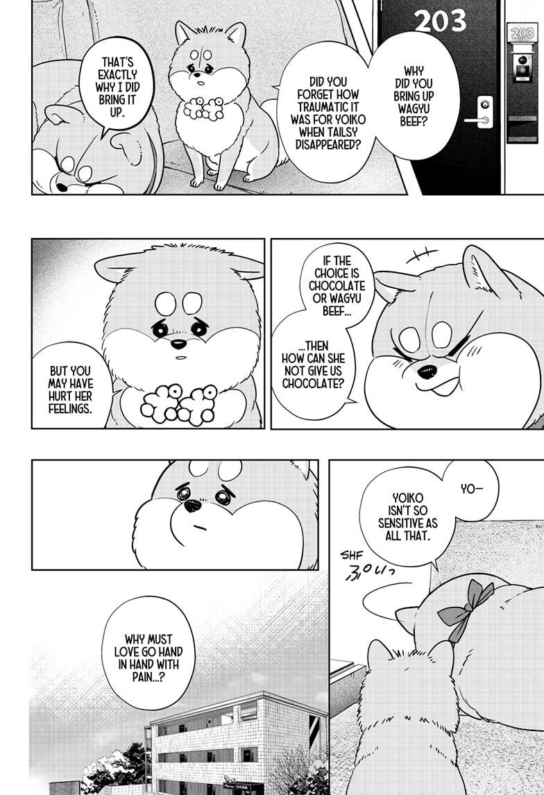 Shiba Inu Rooms Chapter 20 14