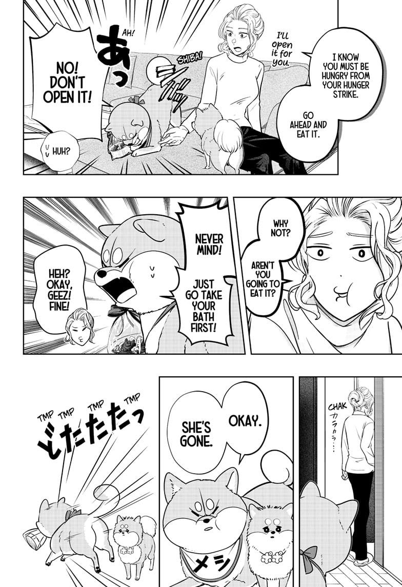 Shiba Inu Rooms Chapter 20 20