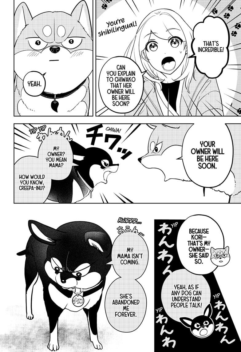 Shiba Inu Rooms Chapter 21 4