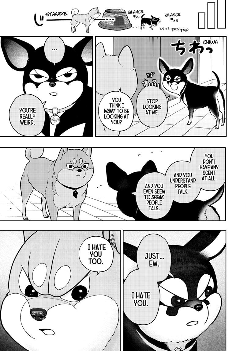 Shiba Inu Rooms Chapter 21 9