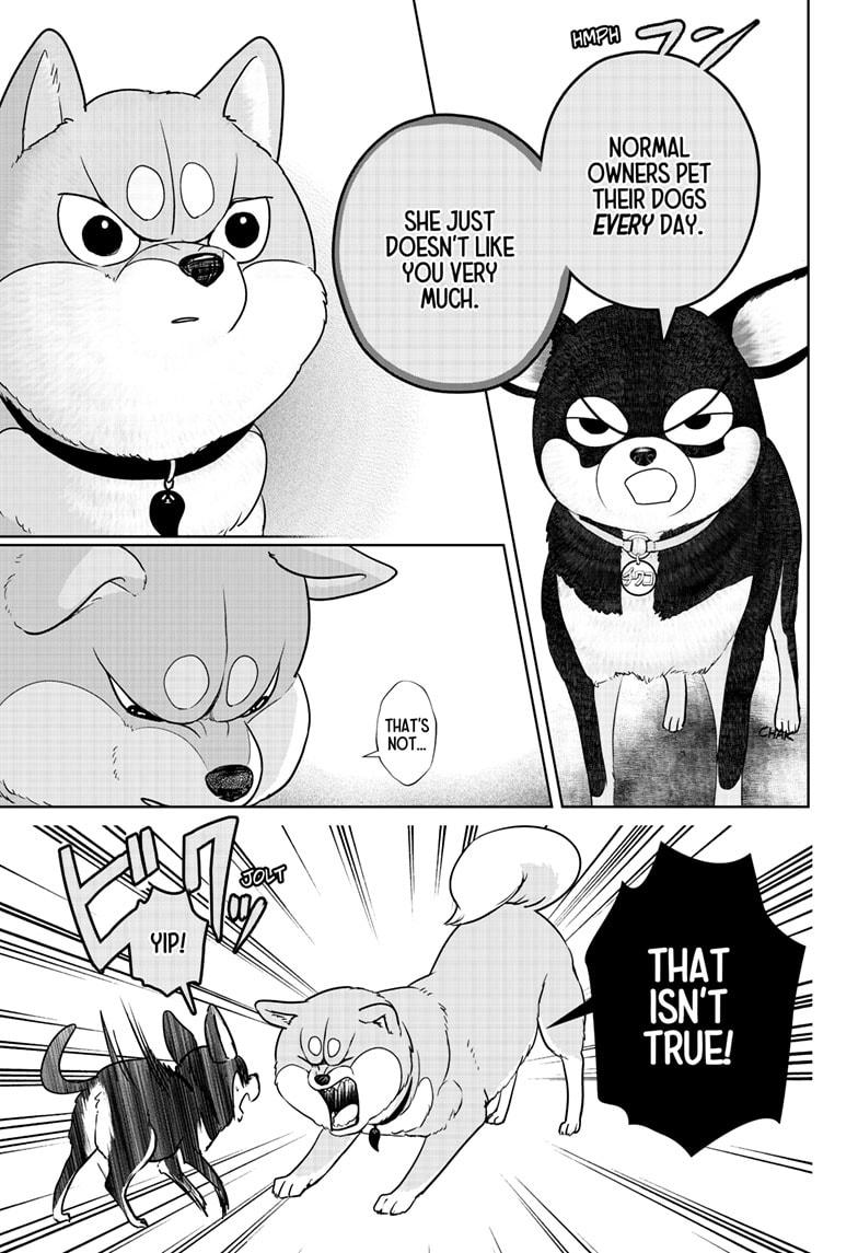 Shiba Inu Rooms Chapter 21 11