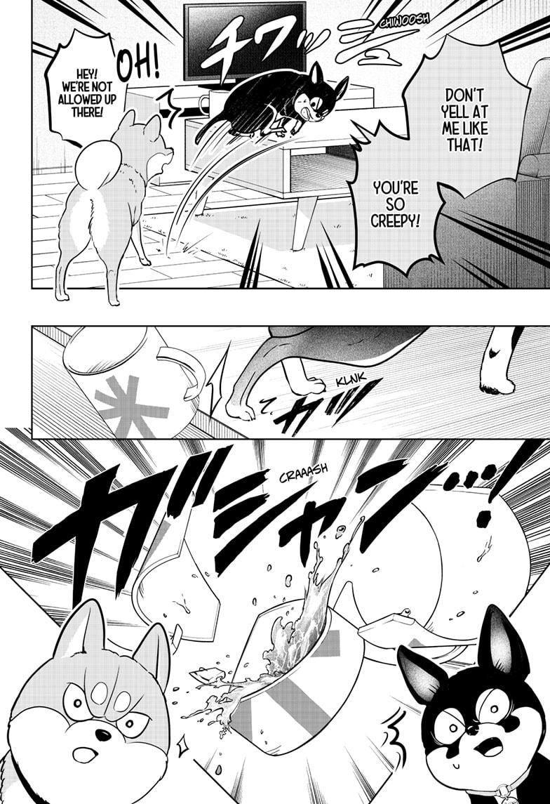 Shiba Inu Rooms Chapter 21 12