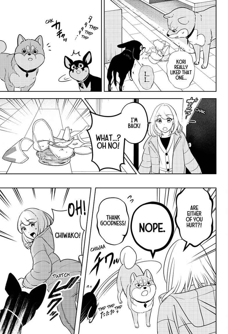 Shiba Inu Rooms Chapter 21 13