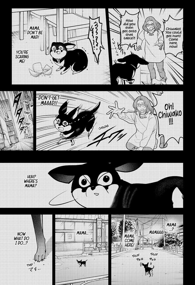 Shiba Inu Rooms Chapter 21 15