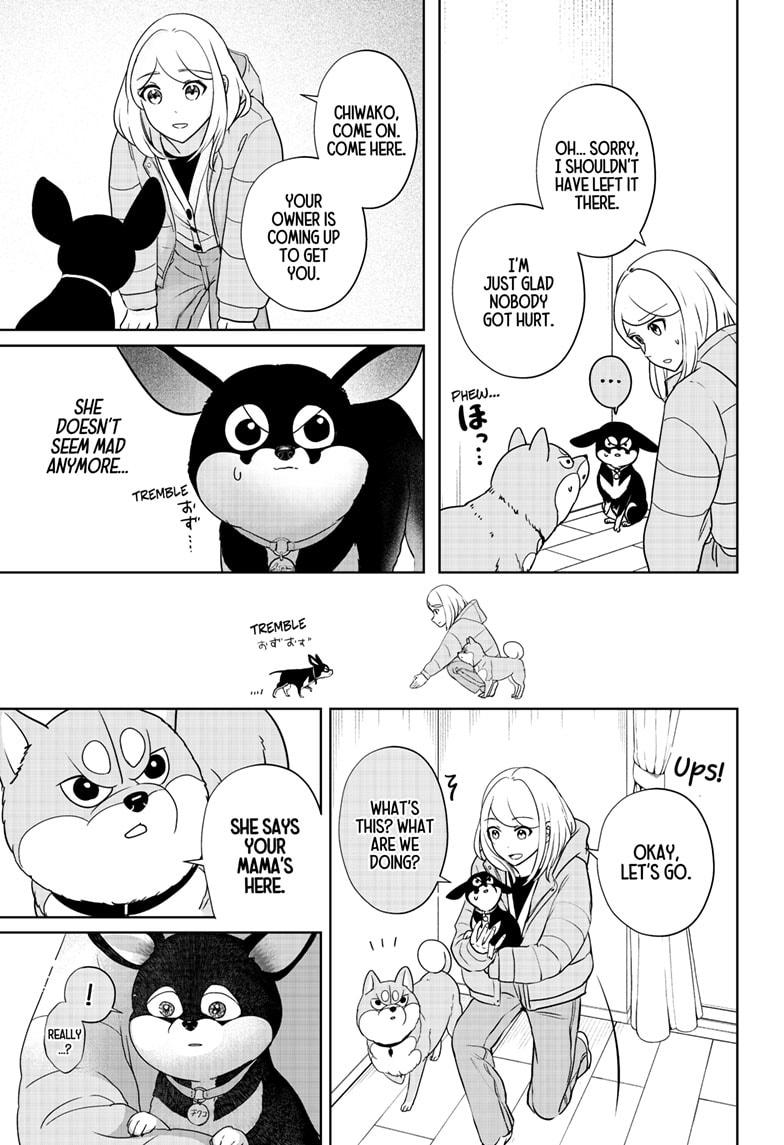 Shiba Inu Rooms Chapter 21 17