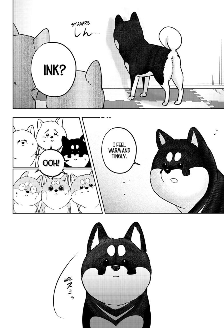 Shiba Inu Rooms Chapter 22 6