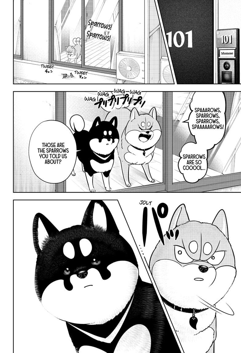 Shiba Inu Rooms Chapter 22 8