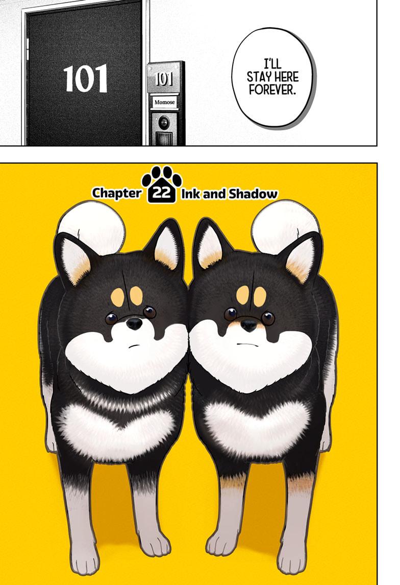 Shiba Inu Rooms Chapter 22 11