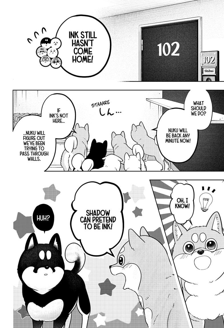 Shiba Inu Rooms Chapter 22 12
