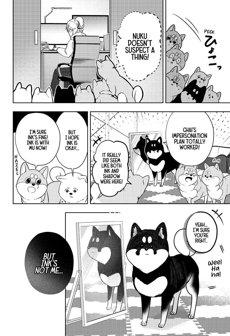 Shiba Inu Rooms Chapter 22 16