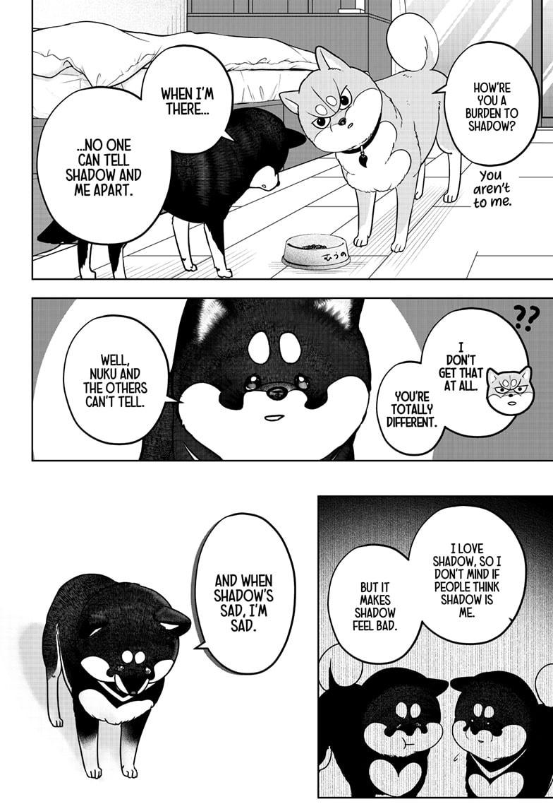 Shiba Inu Rooms Chapter 22 20