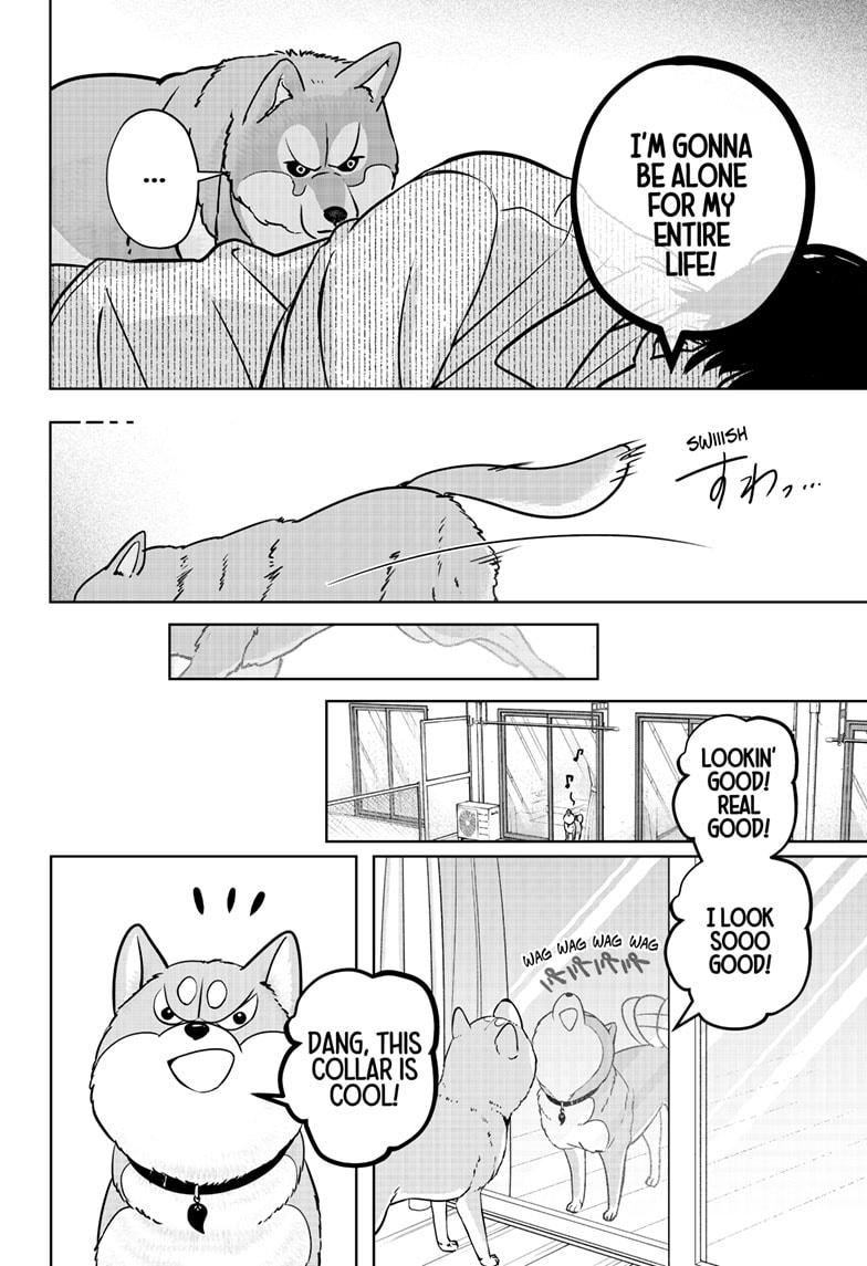 Shiba Inu Rooms Chapter 23 12