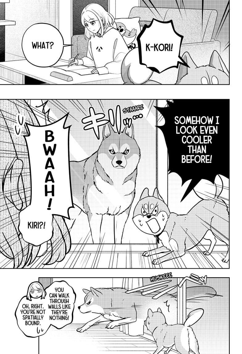 Shiba Inu Rooms Chapter 23 13