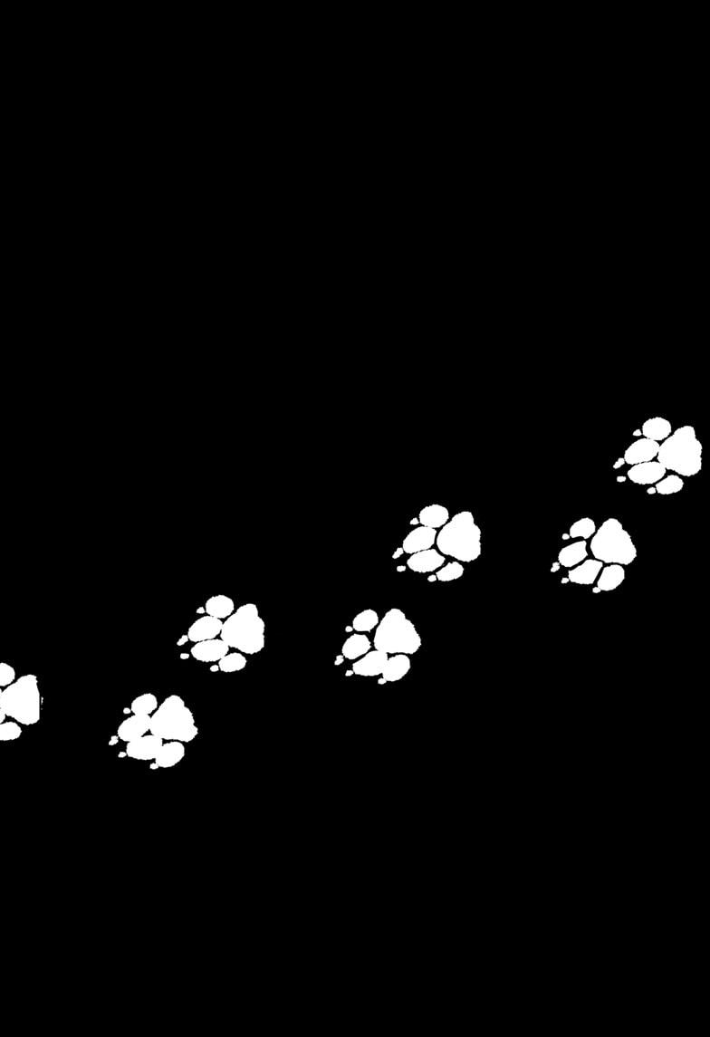 Shiba Inu Rooms Chapter 23 33