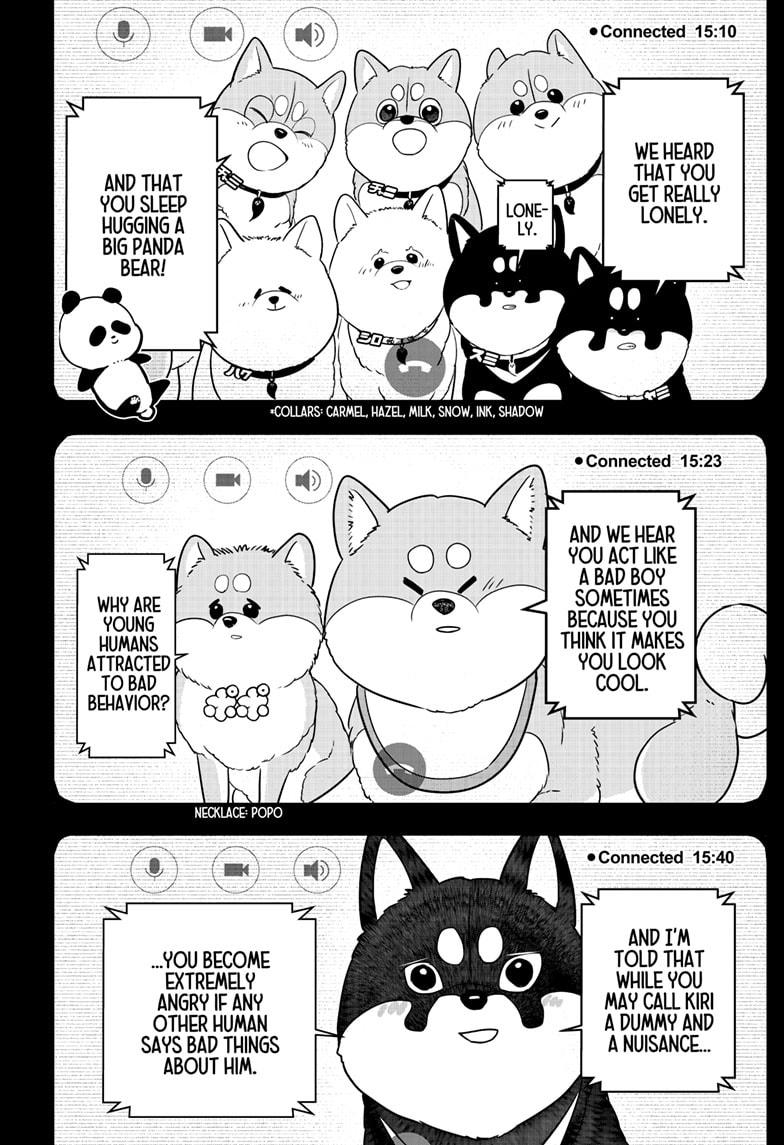 Shiba Inu Rooms Chapter 23 40