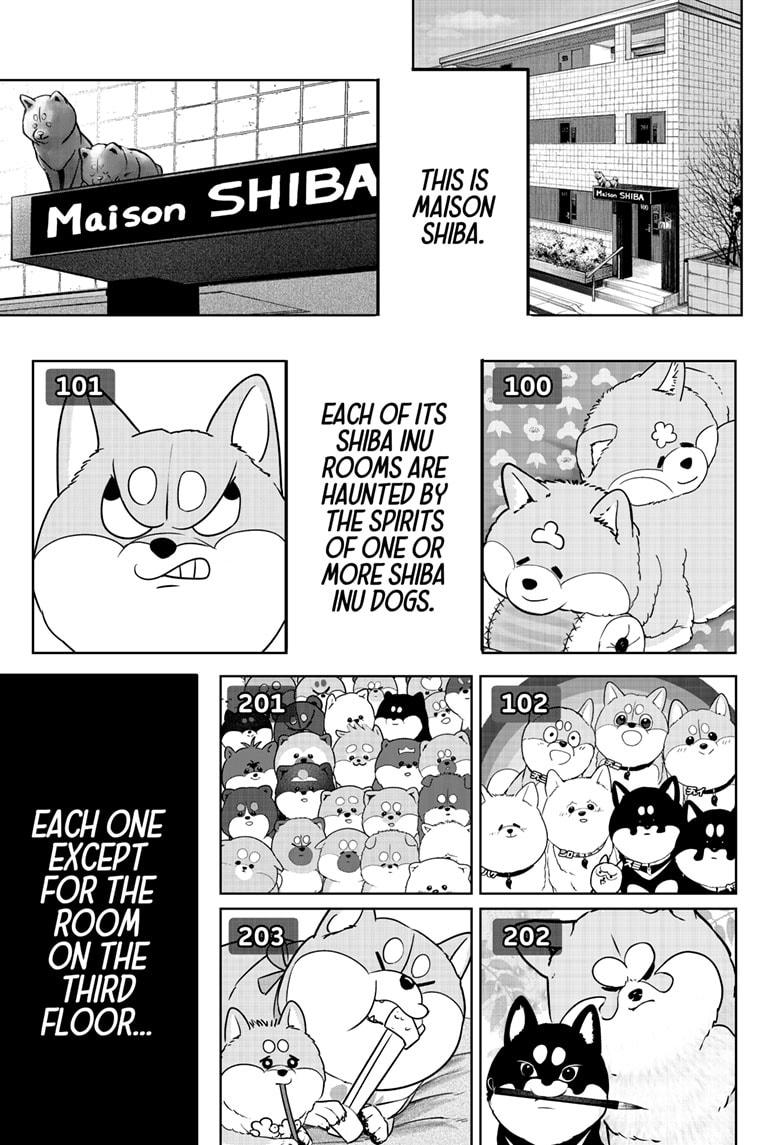 Shiba Inu Rooms Chapter 24 1