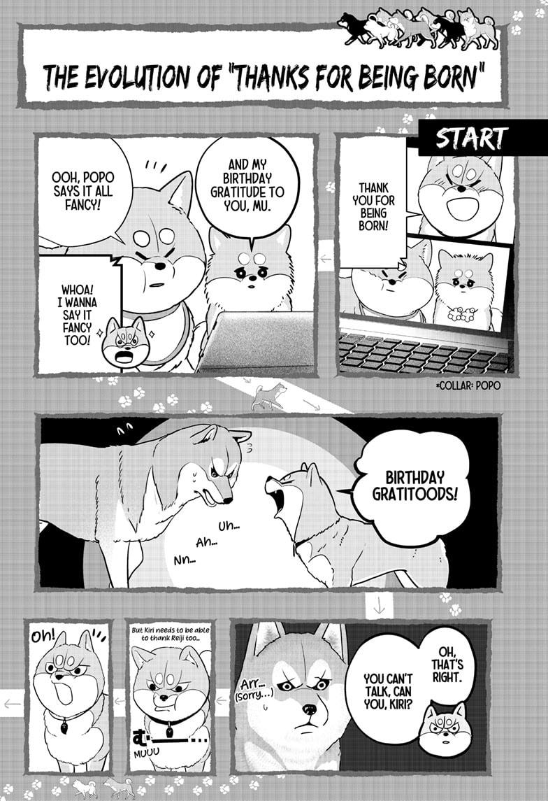 Shiba Inu Rooms Chapter 25 23