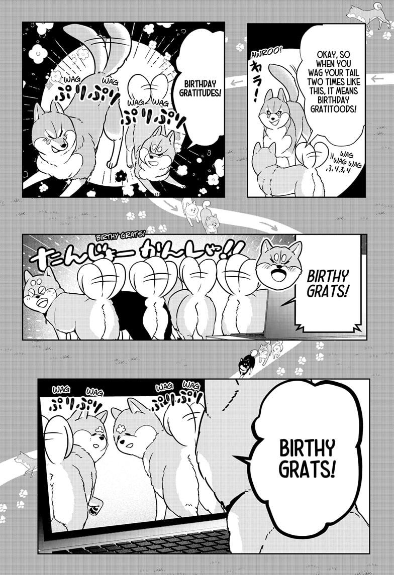 Shiba Inu Rooms Chapter 25 24