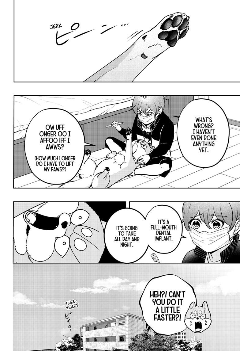Shiba Inu Rooms Chapter 27 18