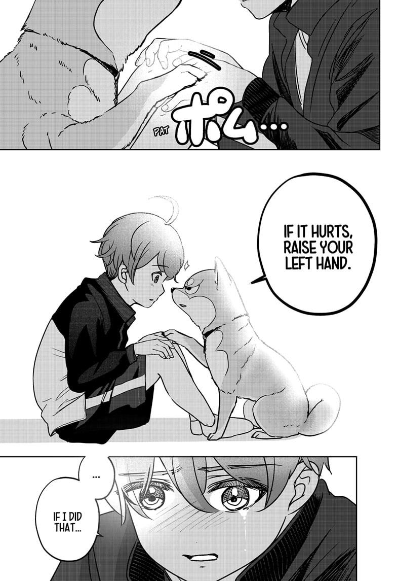 Shiba Inu Rooms Chapter 28 17
