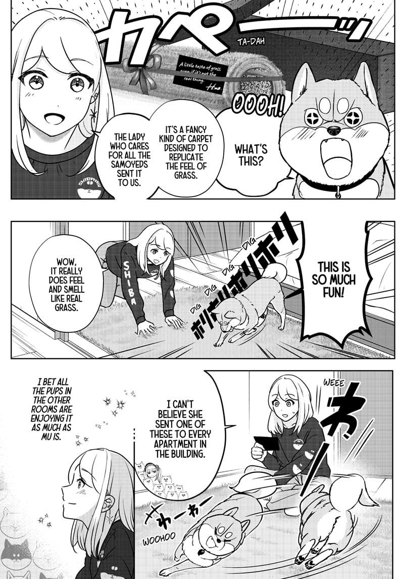 Shiba Inu Rooms Chapter 30 4