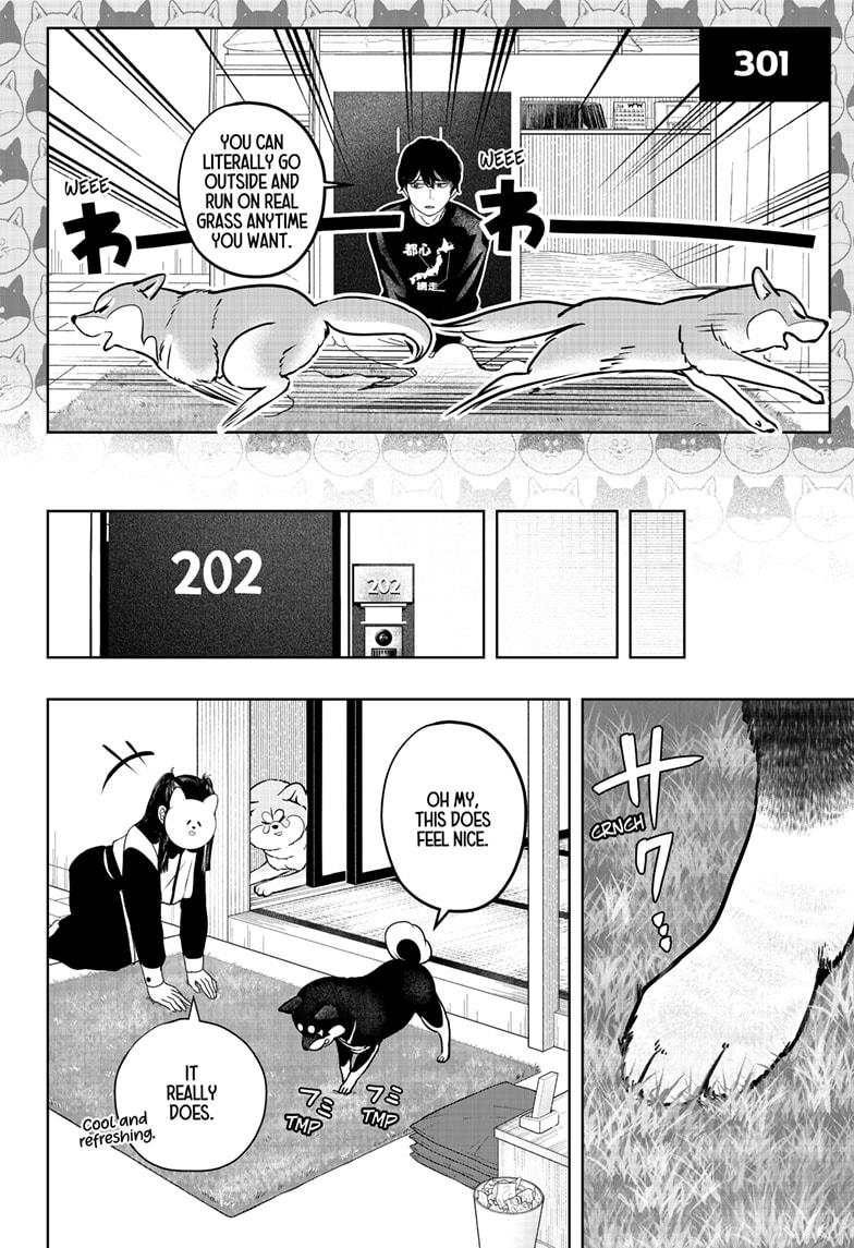 Shiba Inu Rooms Chapter 30 6