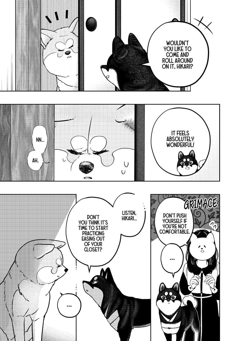 Shiba Inu Rooms Chapter 30 7