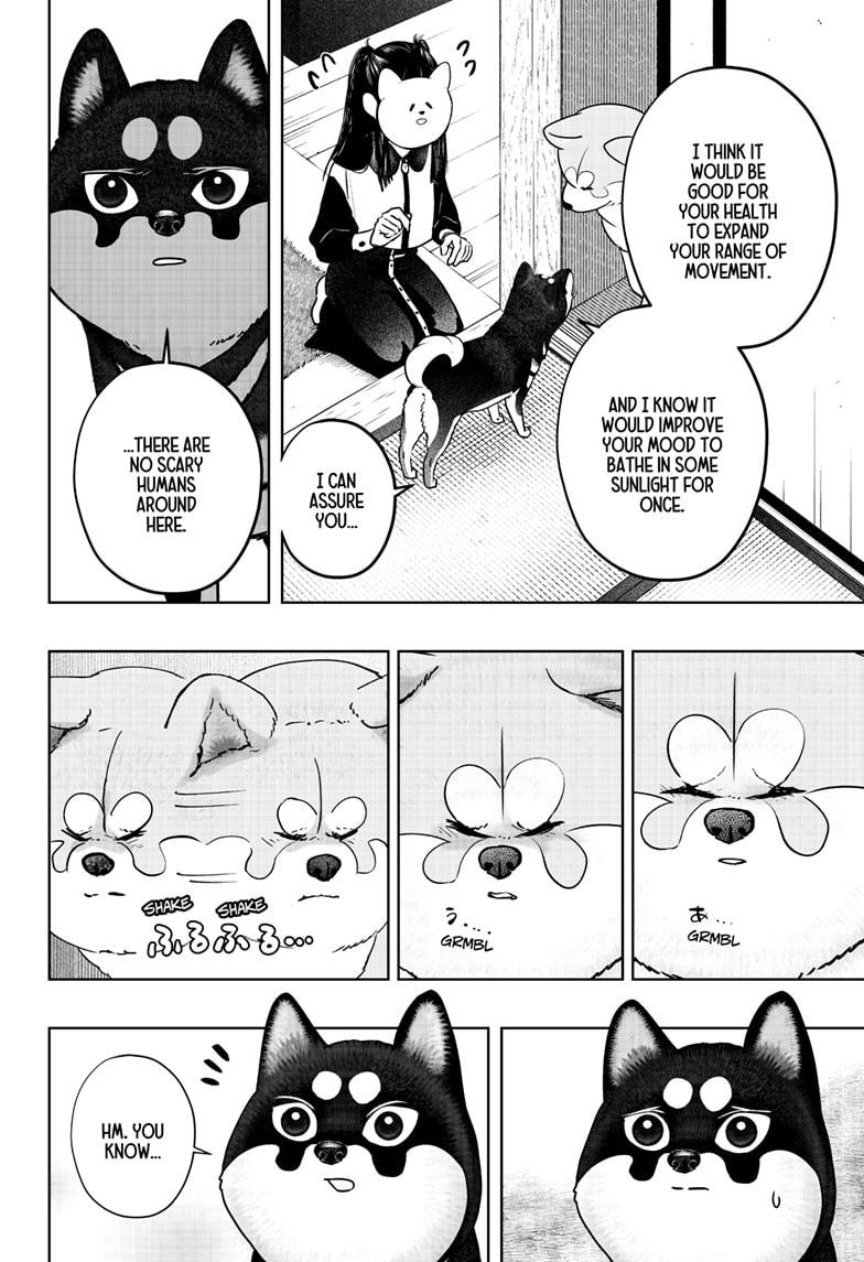 Shiba Inu Rooms Chapter 30 8