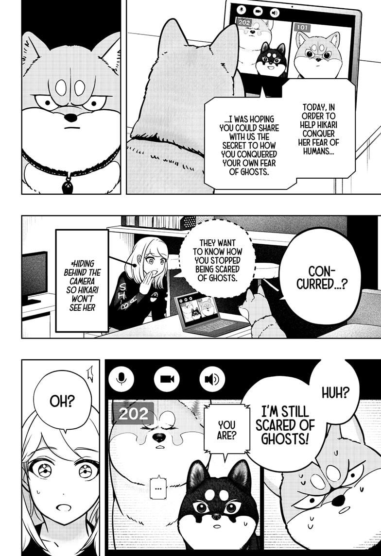 Shiba Inu Rooms Chapter 30 10
